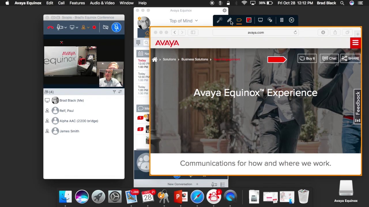 download avaya equinox for windows
