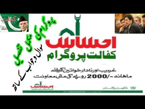 how to check benazir income support program form number