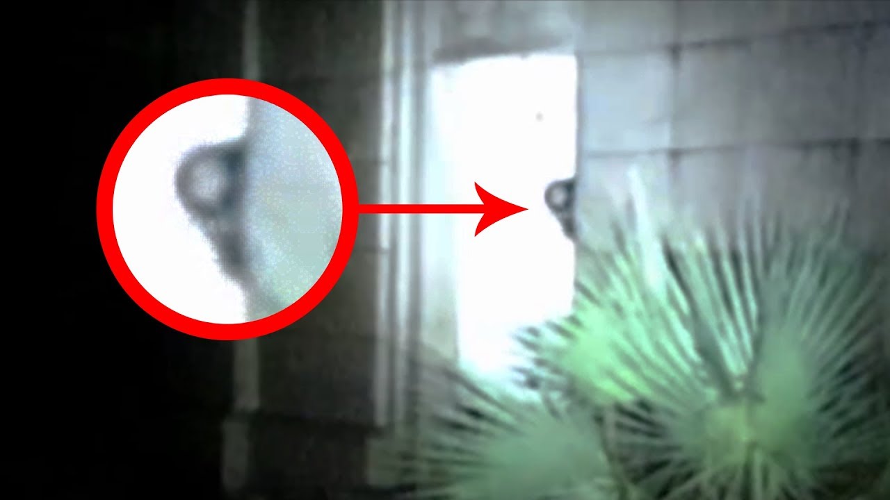 ghostly apparitions video